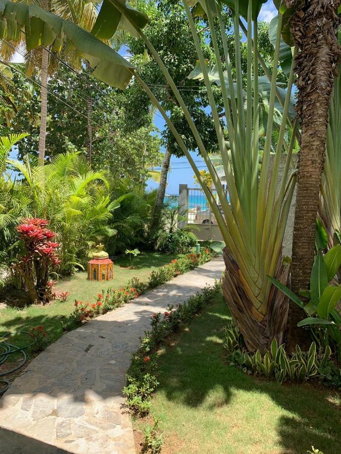 Beach Hotel Casa Nina Las Terrenas Buitenkant foto