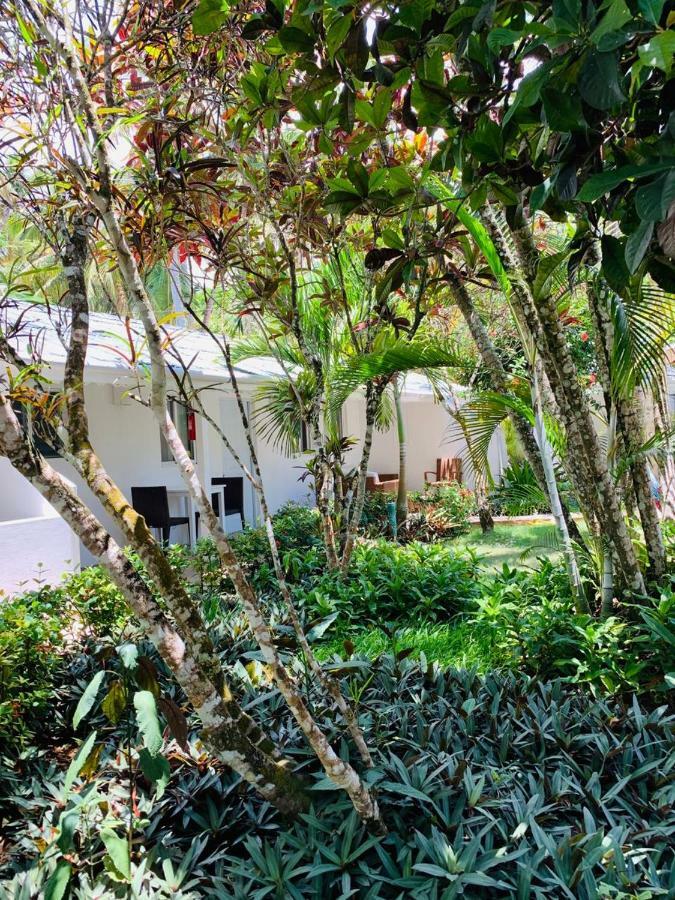 Beach Hotel Casa Nina Las Terrenas Buitenkant foto