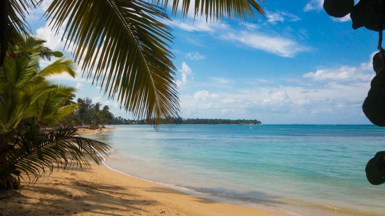 Beach Hotel Casa Nina Las Terrenas Buitenkant foto